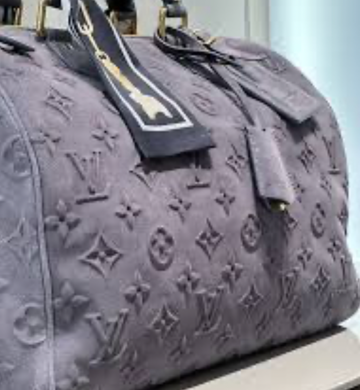 Speedy P9 Grey Suede image 0